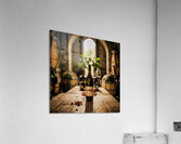 Harmony IV Acrylic Print