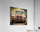 Relic Acrylic Print