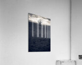 Bare Acrylic Print