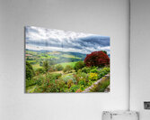 View at the Top Acrylic Print