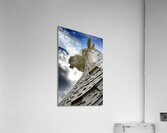Whimsical II  Acrylic Print