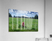 Contrast Acrylic Print