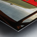 Splendor Metal print