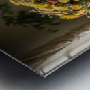 Rustic Blooms II Metal print