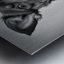 Perplexed Metal print