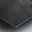 Brooding Metal print