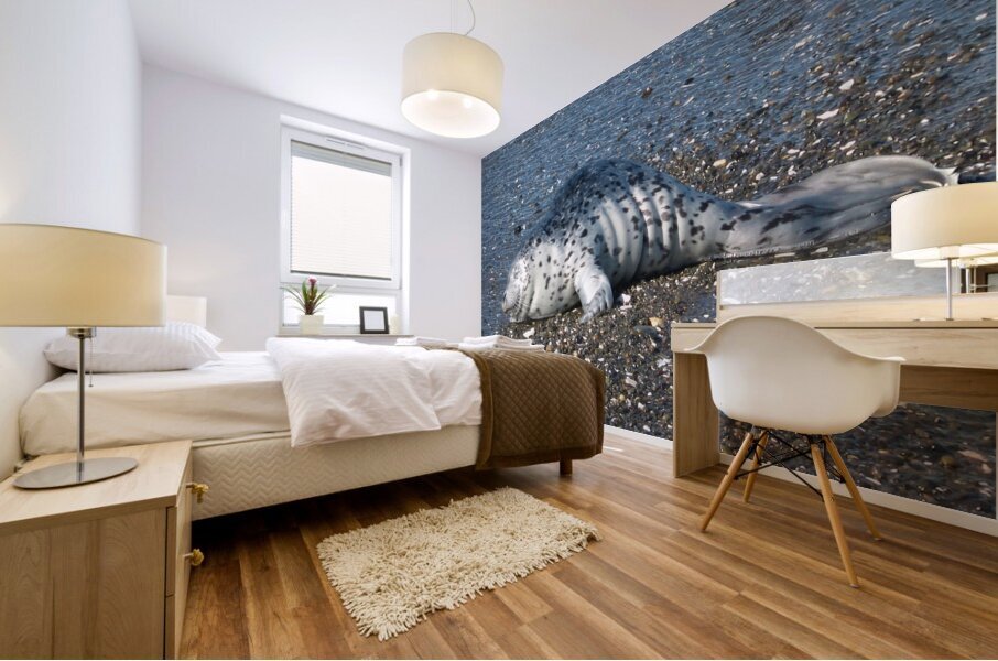 Contentment  Mural print