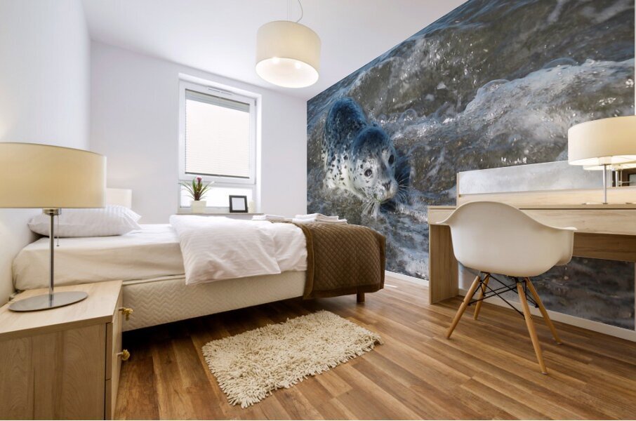 Curiosity  Mural print