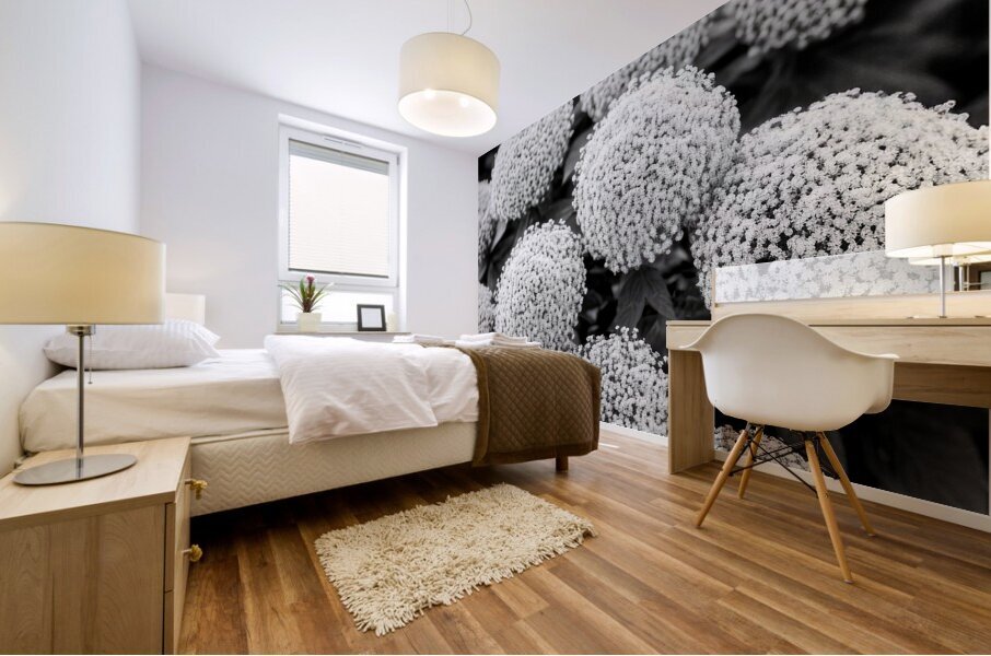 Cotton Balls Mural print