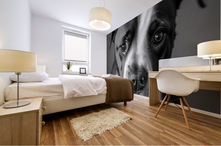 Curious Gaze Mural print