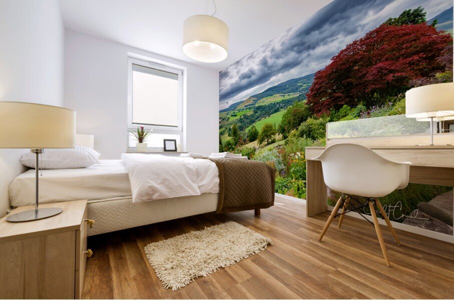 View at the Top Mural print