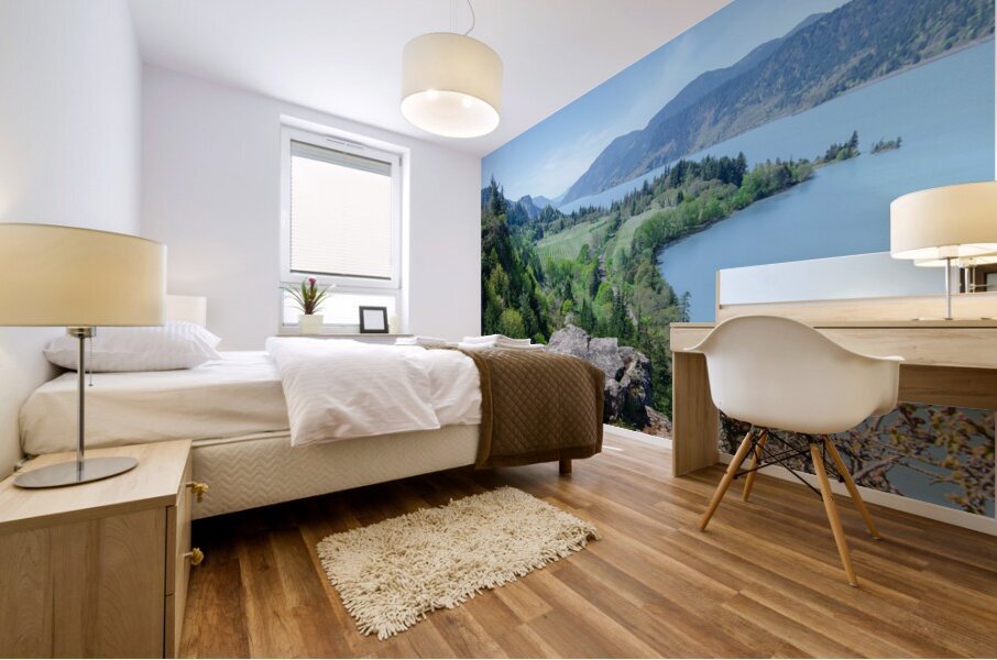 Vantage Point Mural print