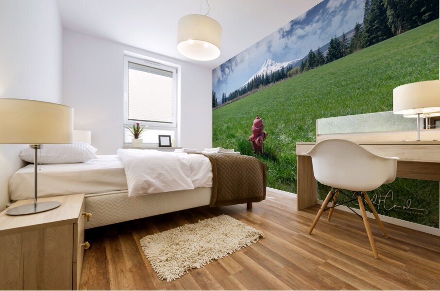 Contrast Mural print