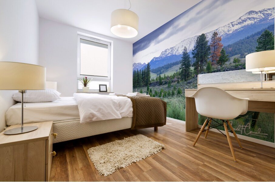 Cold Mountain Mural print