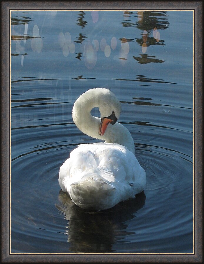Infinity  Picture Frame print