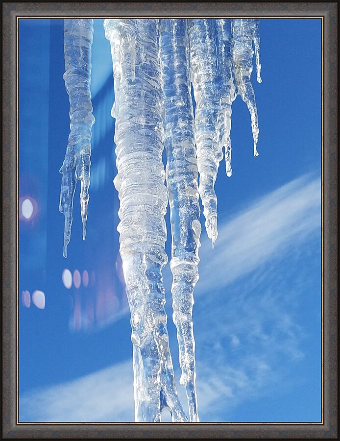 Singular  Picture Frame print