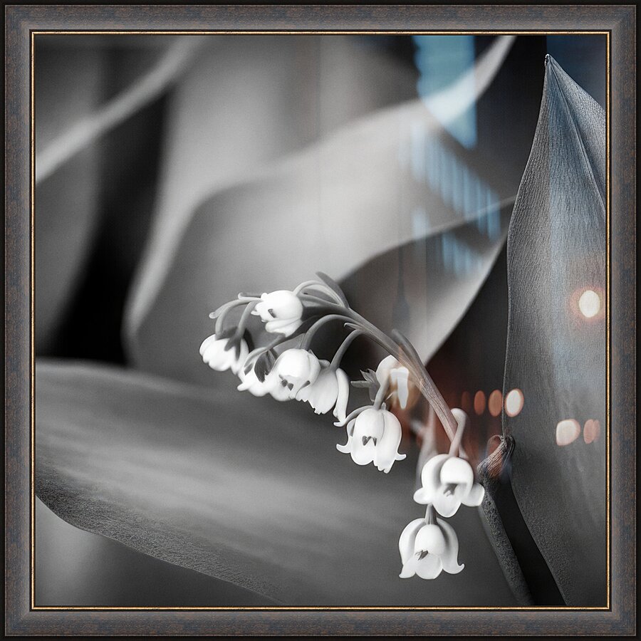 Weeping Blooms Picture Frame print