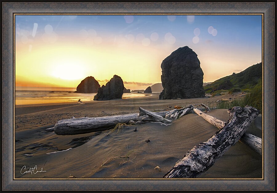 Coastal Serenity Picture Frame print