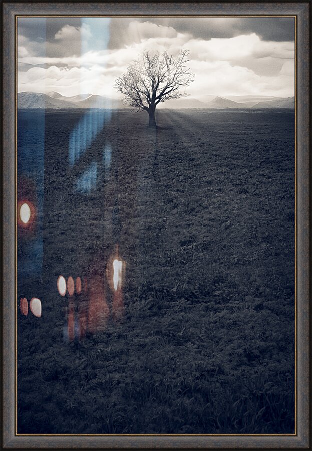 Bare Picture Frame print