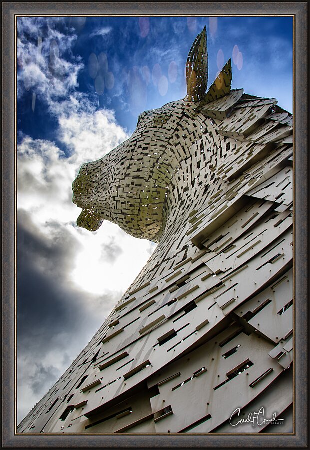 Whimsical II  Picture Frame print