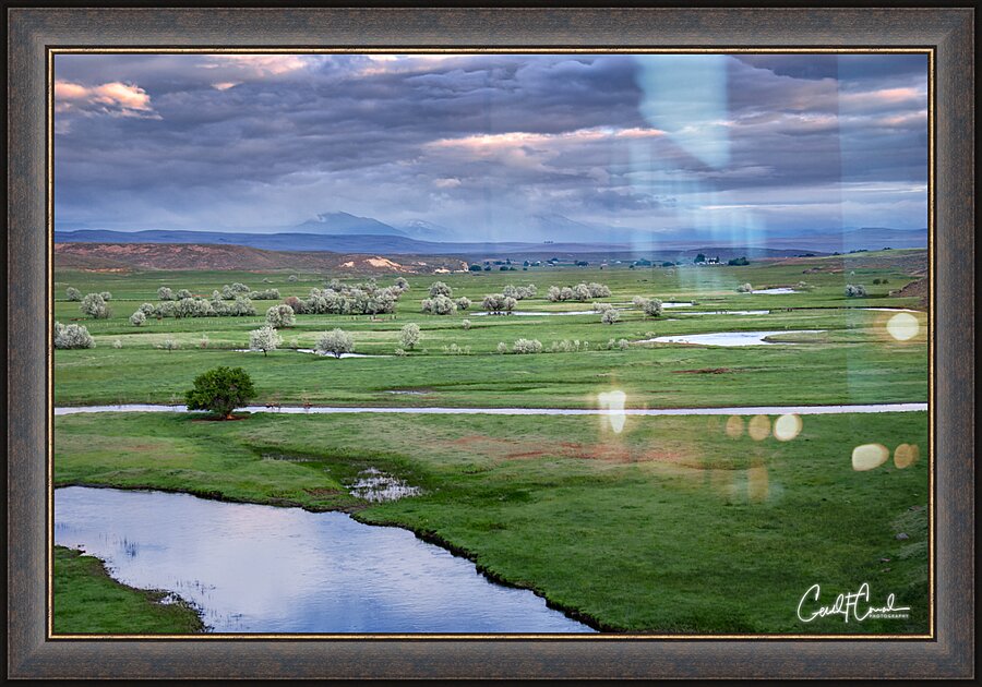 Oasis Picture Frame print