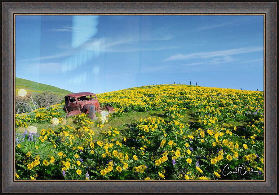 Sunny Picture Frame print