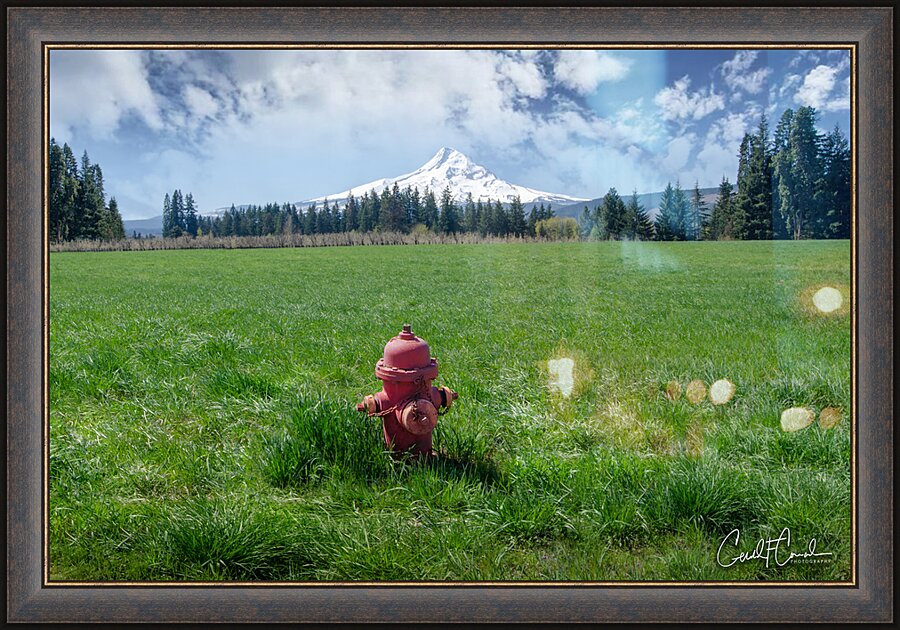 Contrast Picture Frame print