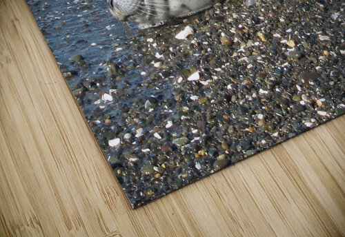 Contentment  Charles Francis Studio puzzle