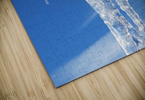 Singular  Charles Francis Studio puzzle