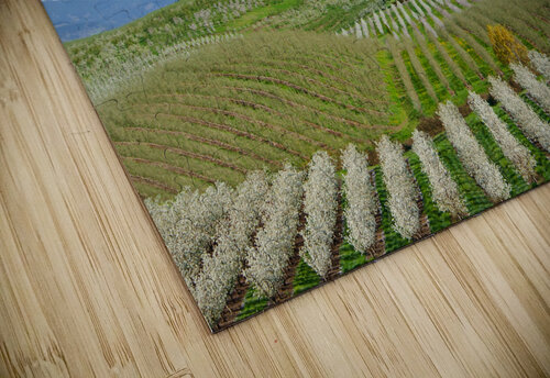 Harvest  Charles Francis Studio puzzle
