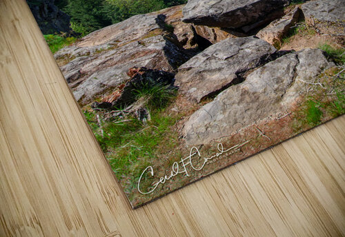 Vantage Point Charles Francis Studio puzzle