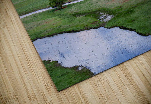 Oasis Charles Francis Studio puzzle