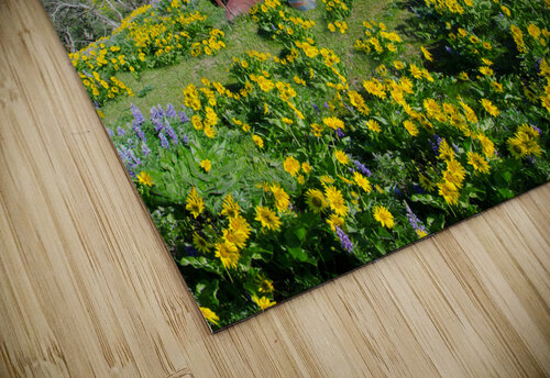 Sunny Charles Francis Studio puzzle