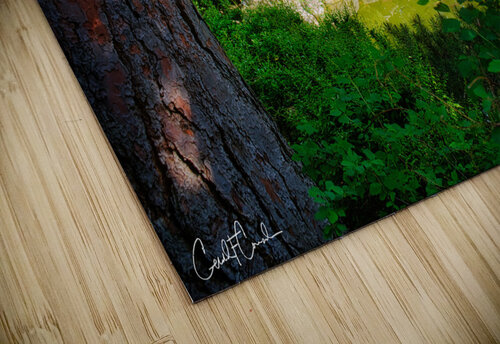 Zen Retreat Charles Francis Studio puzzle