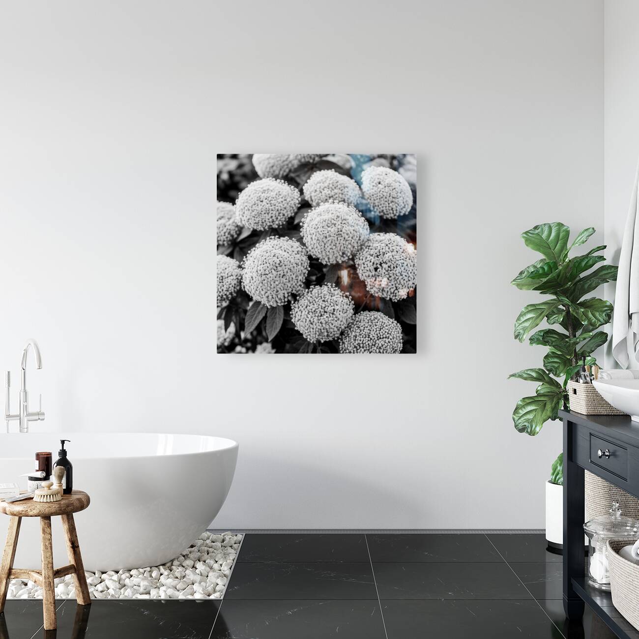 Cotton Balls Reproduction