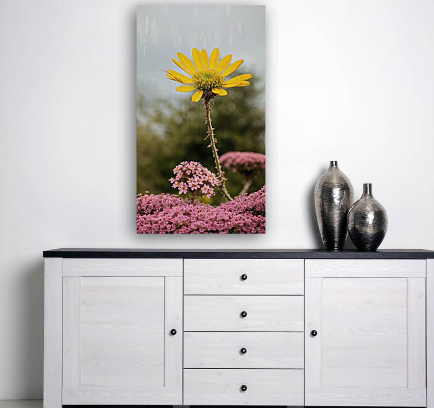 Yellow&Pink Reproduction