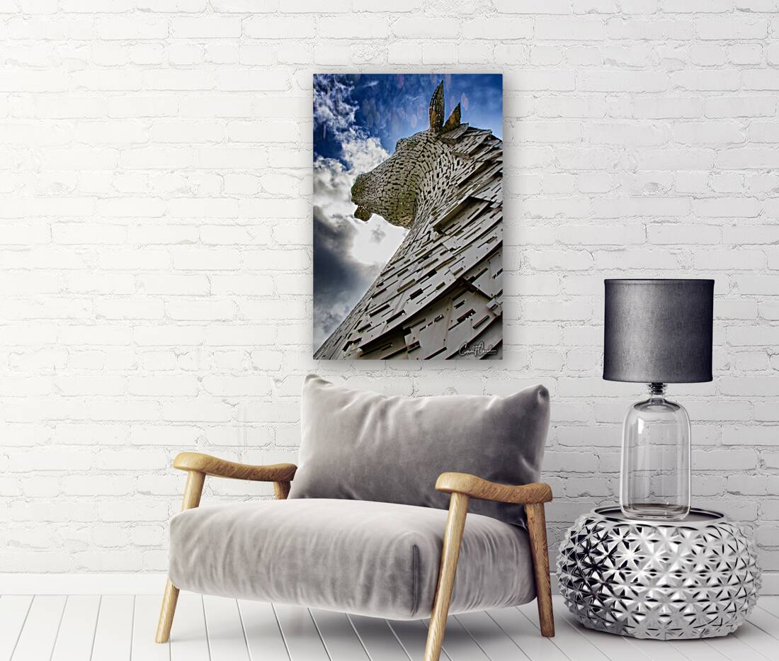 Whimsical II  Reproduction