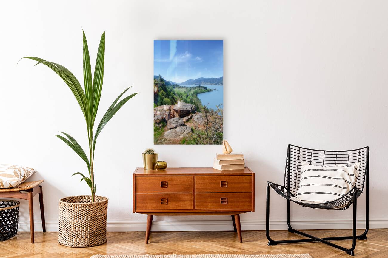 Vantage Point Reproduction