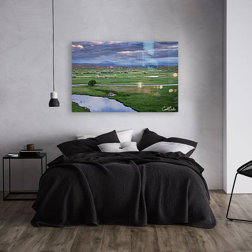 Oasis Reproduction