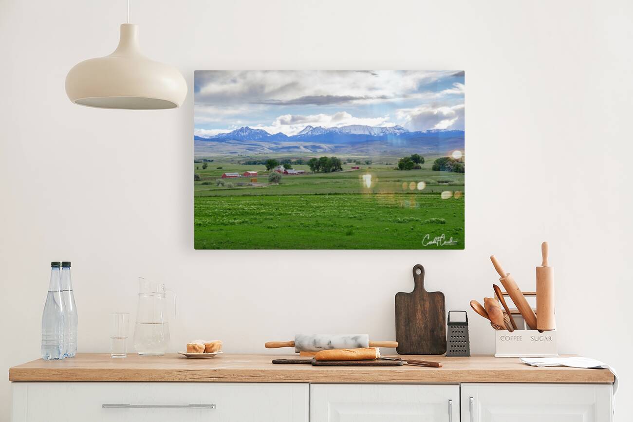 Farm Field Reproduction