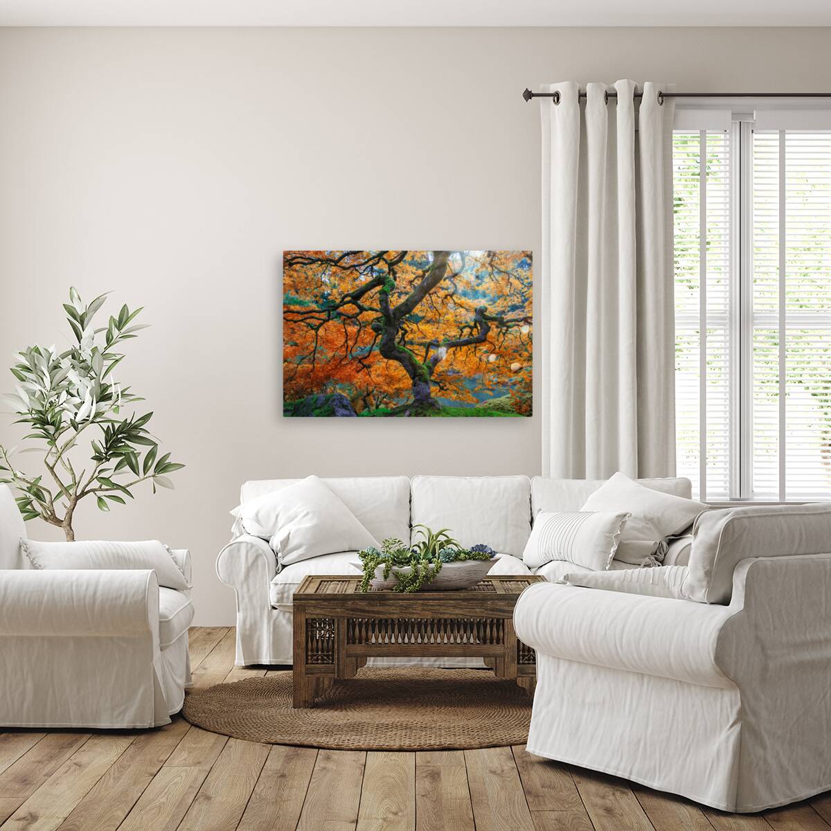 Japanese Maple Reproduction