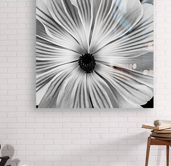 Petals Reproduction