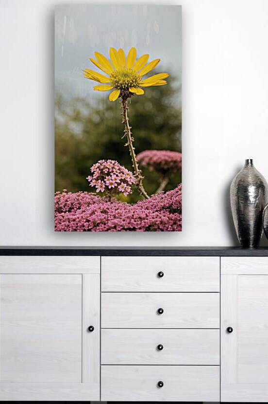 Yellow&Pink Reproduction
