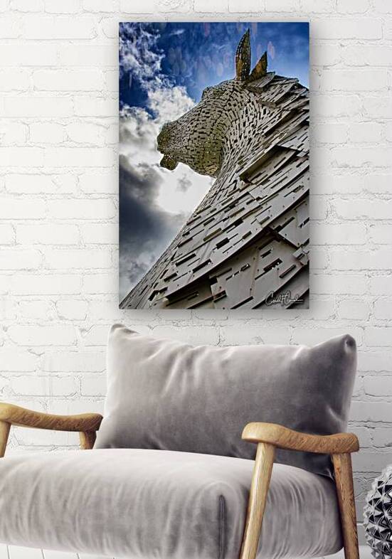 Whimsical II  Reproduction