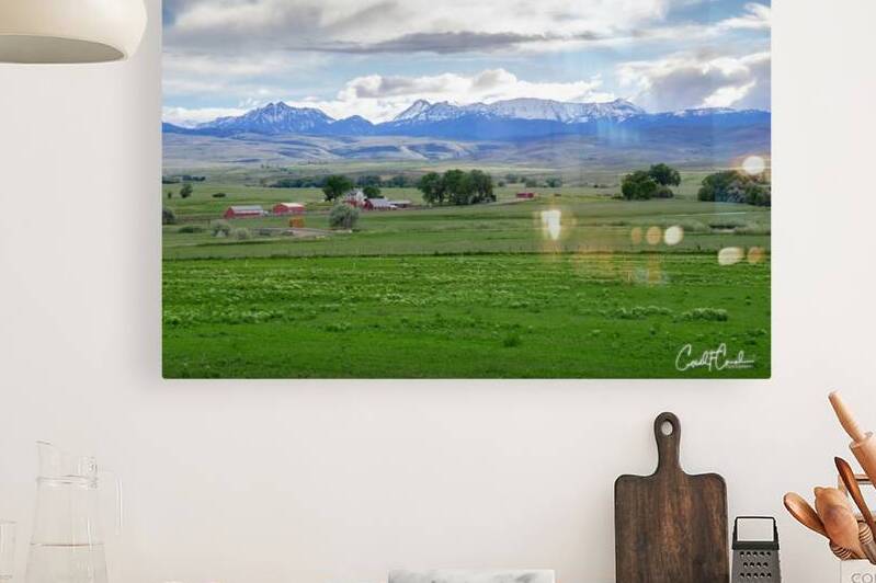 Farm Field Reproduction