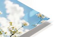 Countryside Haven HD Metal print