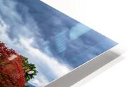 View at the Top HD Metal print