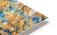 Japanese Maple HD Metal print