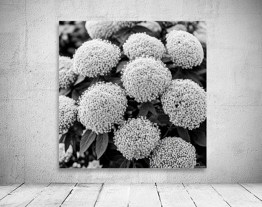 Cotton Balls Wall Preview