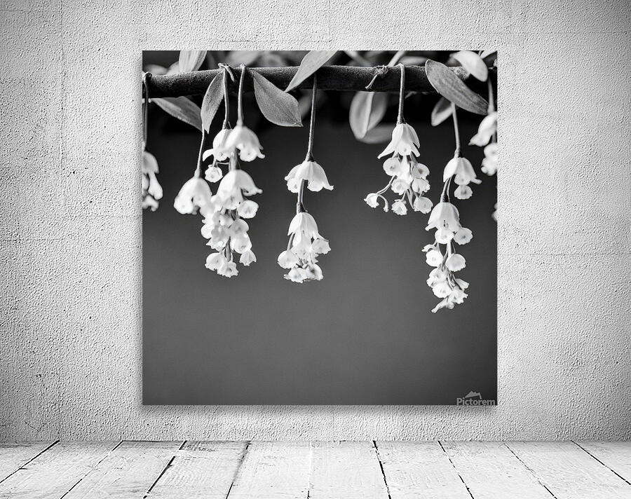 Floral Cascade Wall Preview